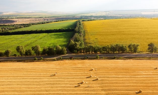 La importancia del color del suelo agrícola