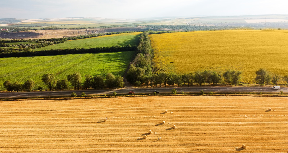 La importancia del color del suelo agrícola