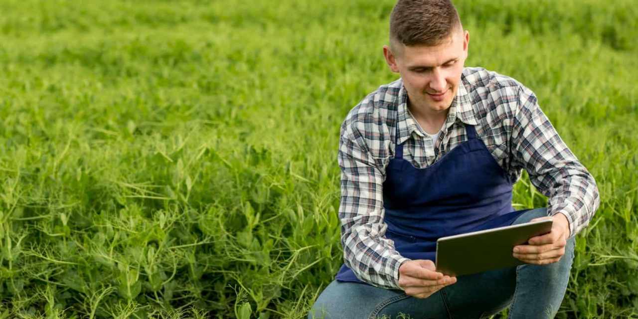 Agricultura de precisión: ¿qué es? Ventajas, desventajas y usos 